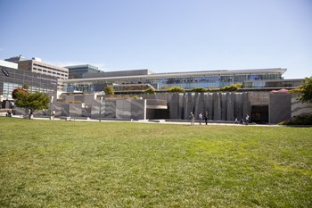 park with office building in the background