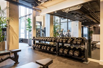 fitness center - Photo Gallery 19
