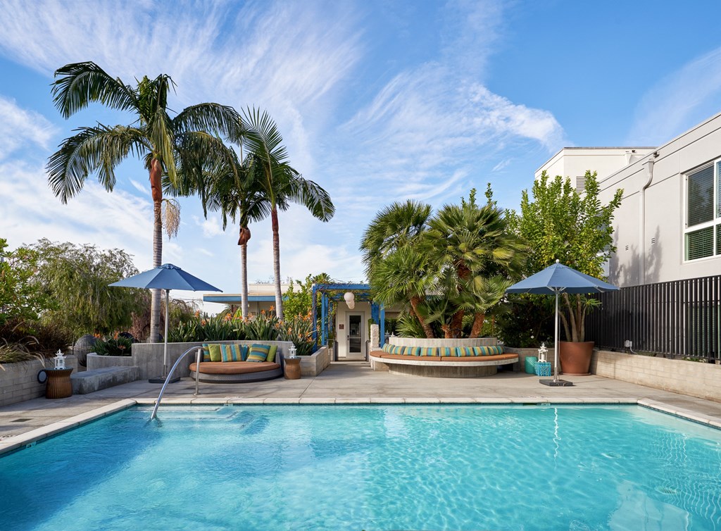 los angeles pool with palm trees