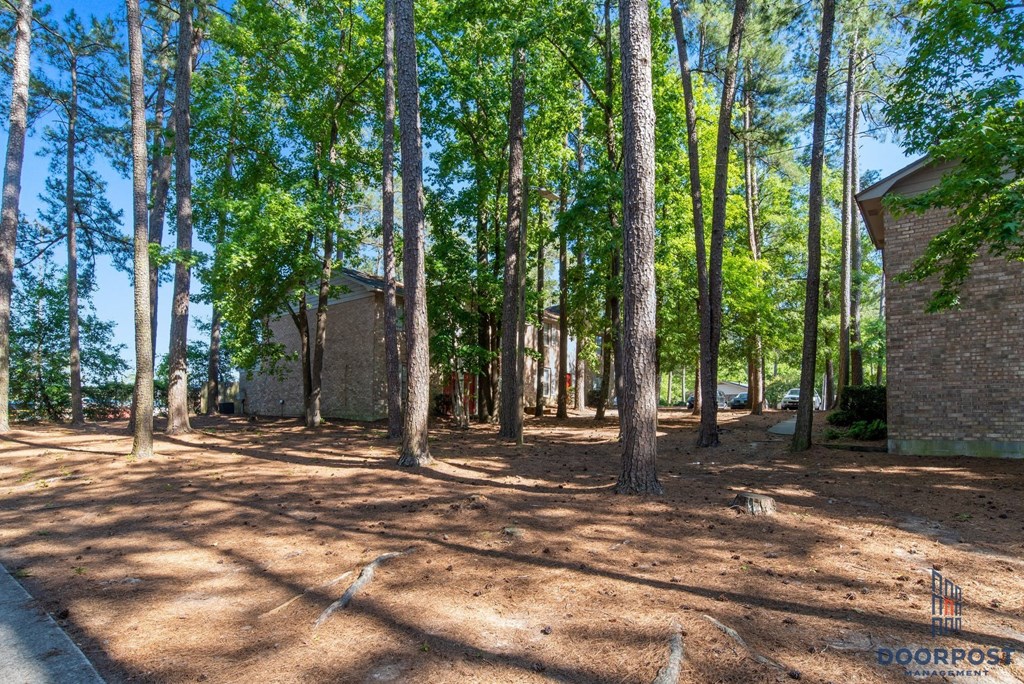 a yard with trees and a brick building in the woods