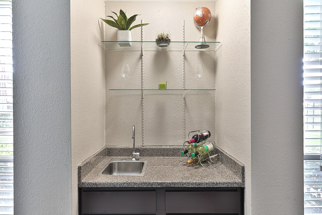 a kitchen with a sink and a shelf with plants and