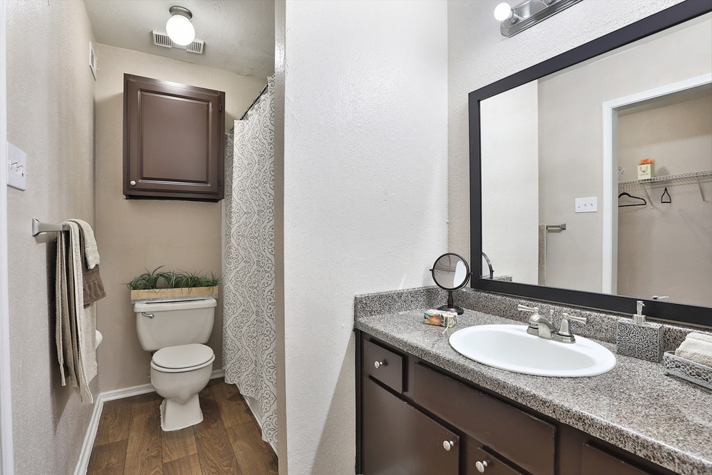 a bathroom with a toilet and a sink and a mirror