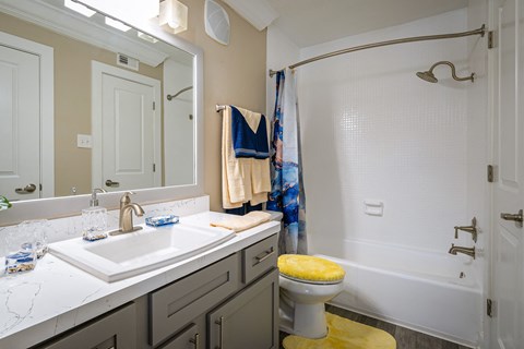 a bathroom with a sink and a toilet and a shower