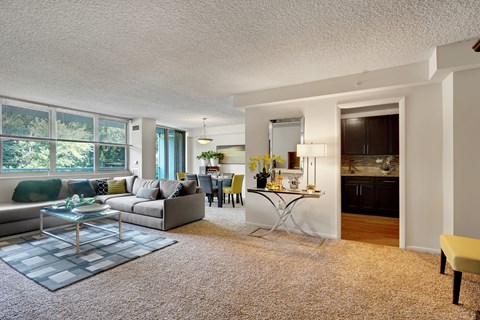 A living room with a grey sofa and a glass coffee table.