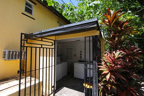 A yellow house with a black gate and a red plant.