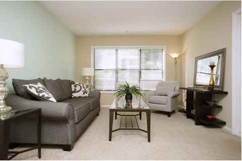A living room with a grey couch, a coffee table, and a chair.