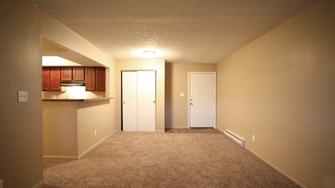 A room with a carpeted floor and two white doors.