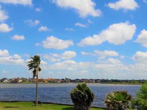 a body of water with a palm tree next to it