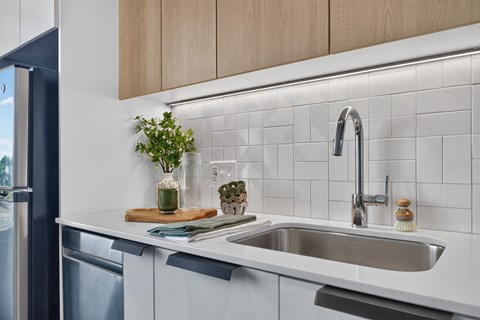 A kitchen with a white sink and a plant on the counter.