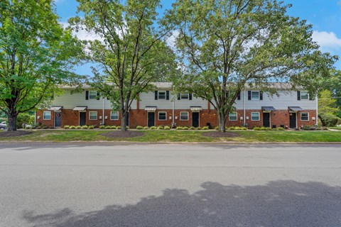 A row of houses with trees in front.