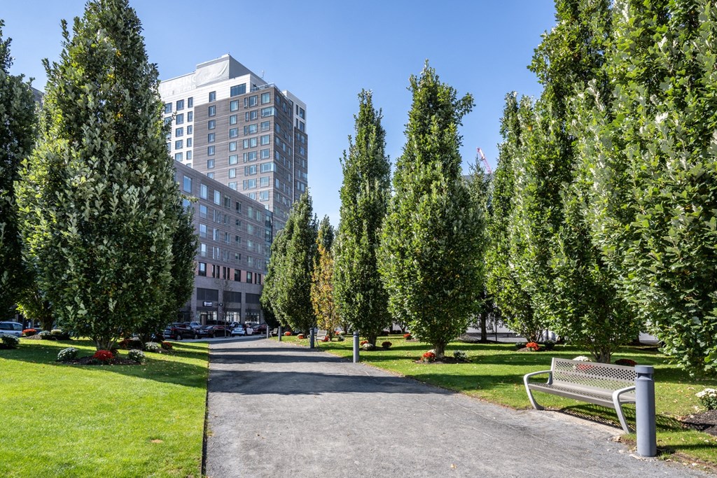 Building with trees and walkway at The Indie, Boston, 02134  
