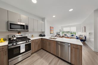 1401 Kings Hwy Studio-2 Beds Apartment for Rent - Photo Gallery 2
