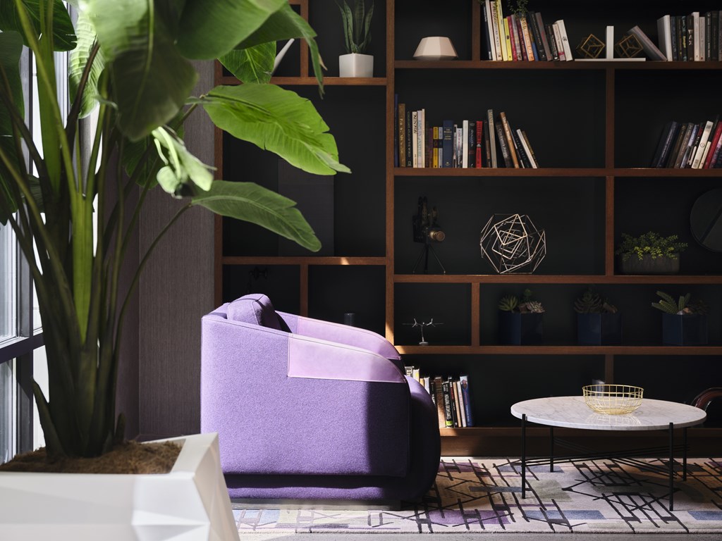 A purple sofa sits in front of a bookshelf with a potted plant to its left.