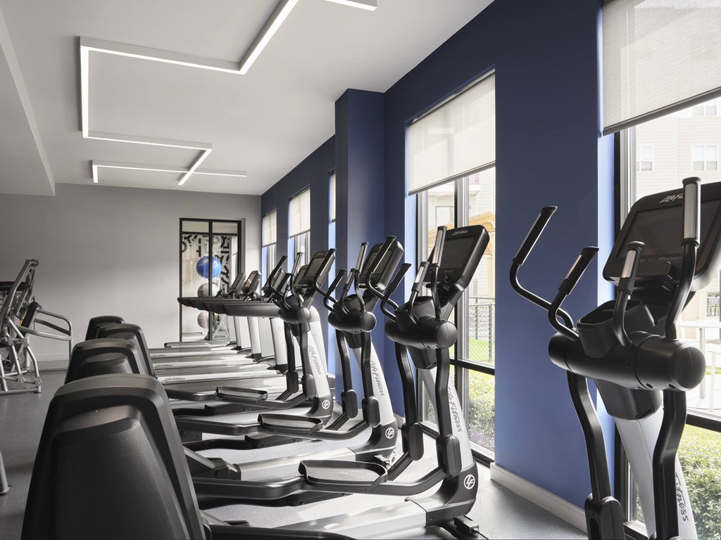 A row of treadmills are lined up in a gym.