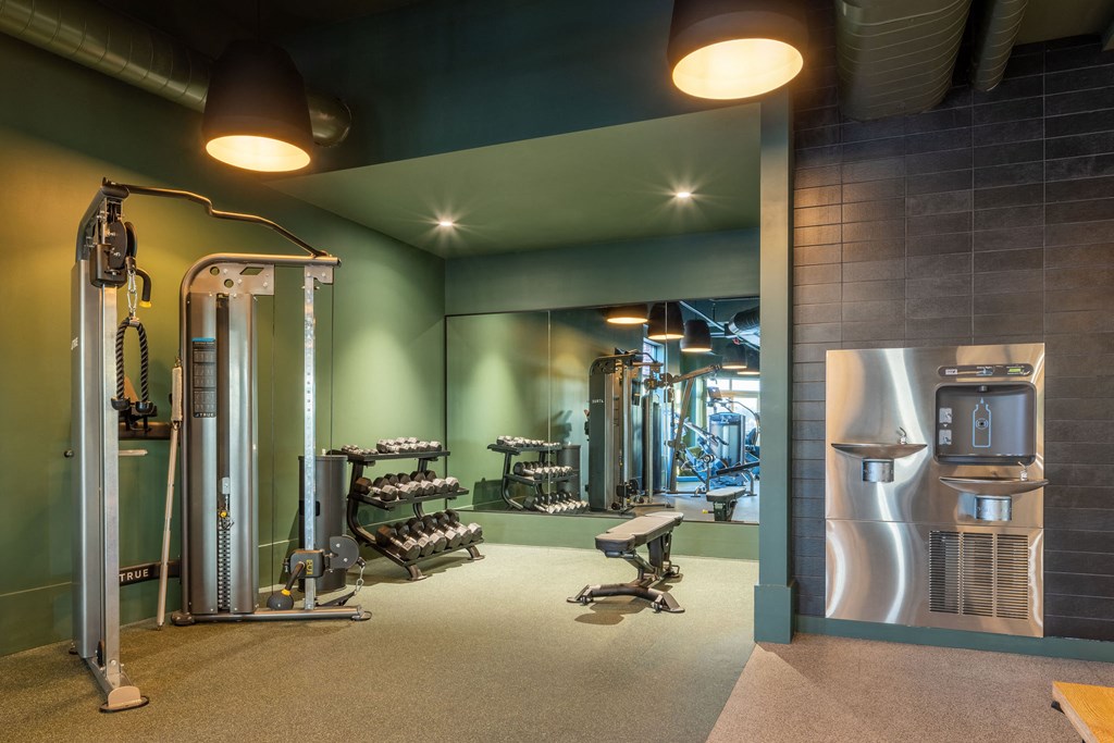 A gym with a variety of equipment including a squat rack, bench, and weights.