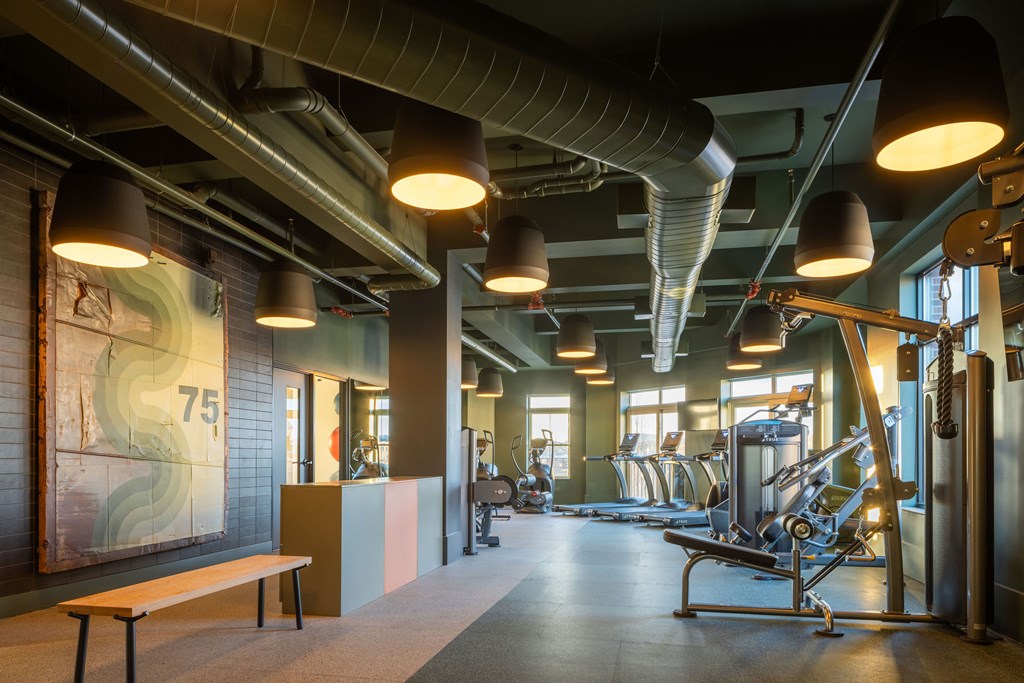 A gym with a bench, weights, and exercise equipment.
