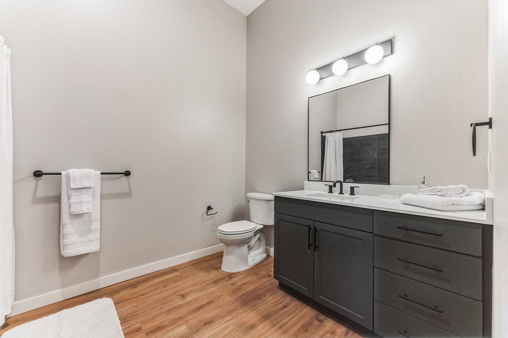 a bathroom with a sink and a toilet and a mirror