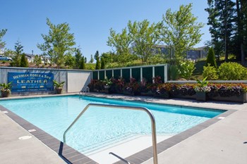 Outdoor pool at The Tannery, Glastonbury, CT, 06033 - Photo Gallery 19