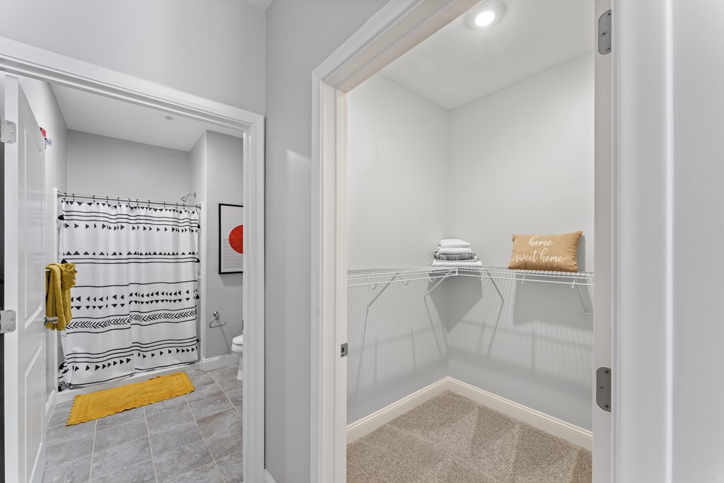 A bathroom with a walk-in shower and a small closet.