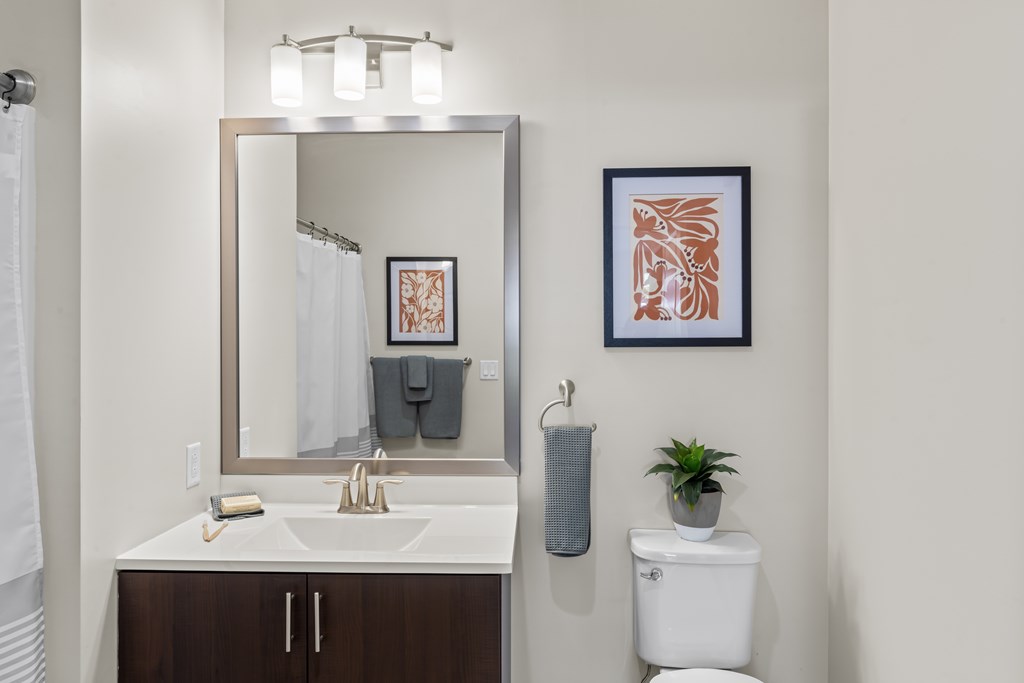 A bathroom with a white toilet, a sink, a mirror, and a plant.