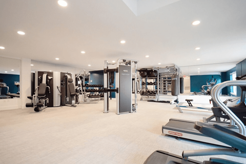 A spacious gym with a variety of equipment.