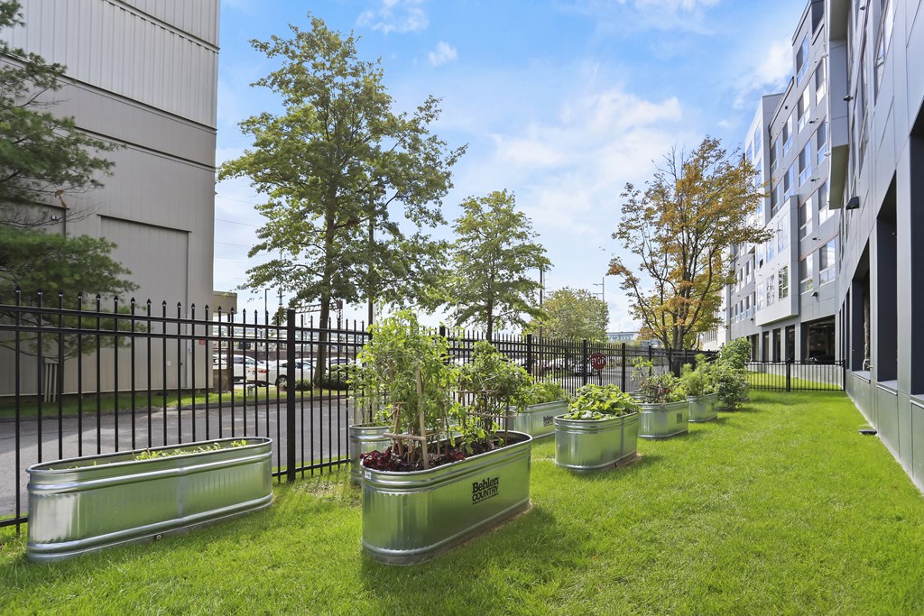 COMMUNITY GARDEN SPACE