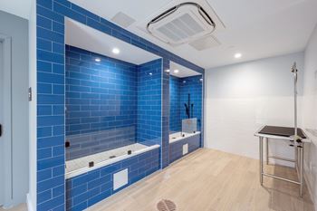 A blue tiled bathroom with a white door and a white sink.