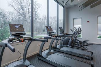 A row of True running machines in a gym with a view of trees outside the window.