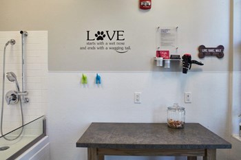 Pet grooming station at The Tannery, Connecticut - Photo Gallery 14