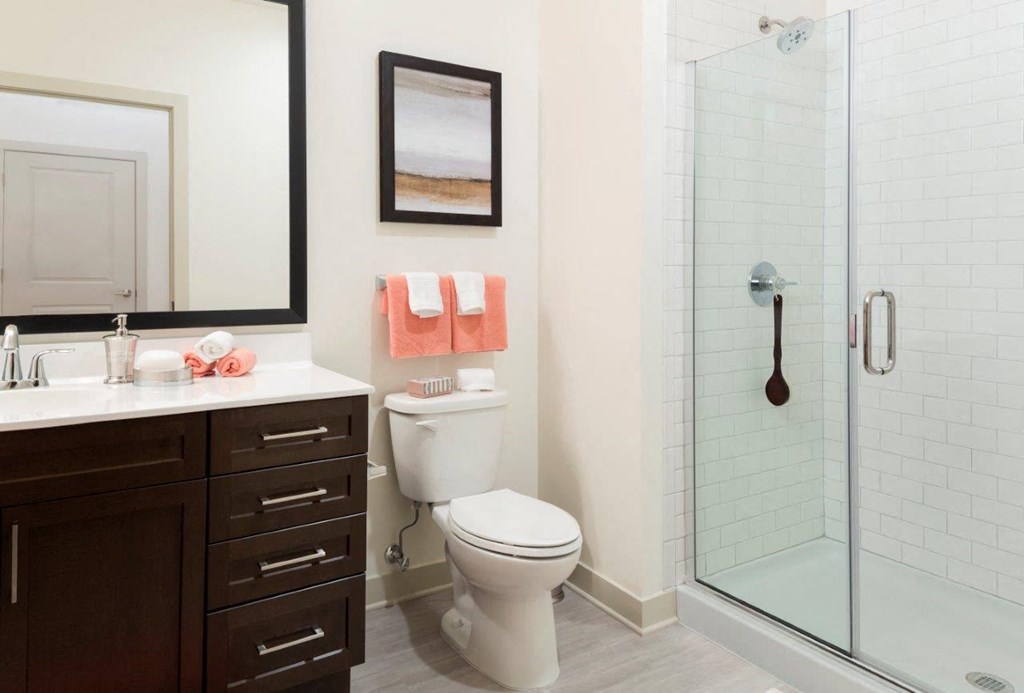 Walk in Shower - Bathroom