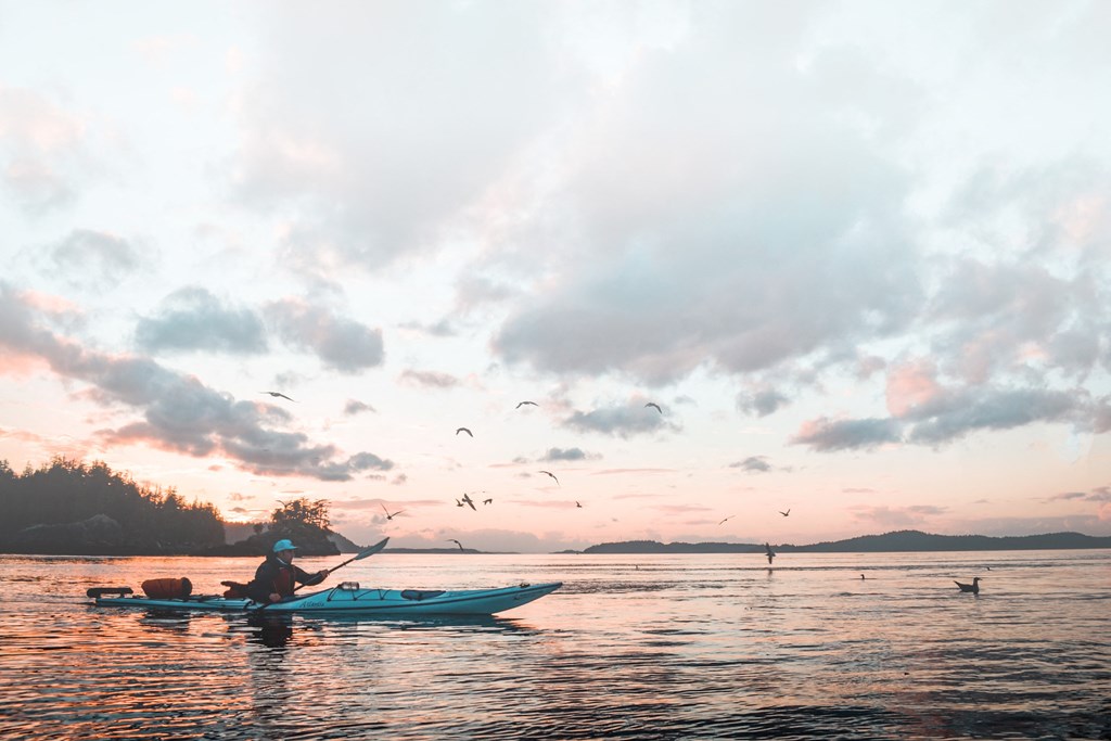 a person in a kayak on a lake with birds flying above