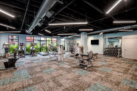 a gym with weights and cardio equipment in a large room with windows
