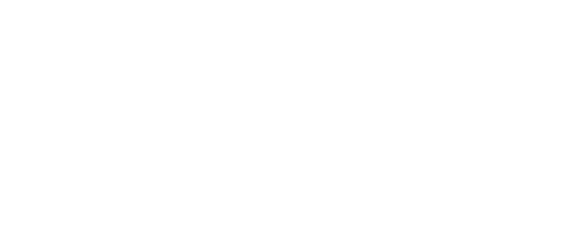 A black and white image with the words "THE INDIE" written on it.