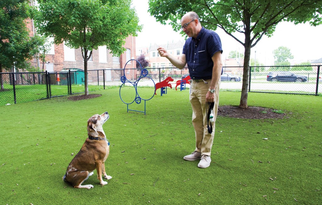 a man standing next to a dog on top of a lush green field