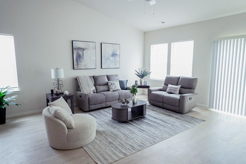 A living room with a grey sofa, a grey armchair, and a grey coffee table.