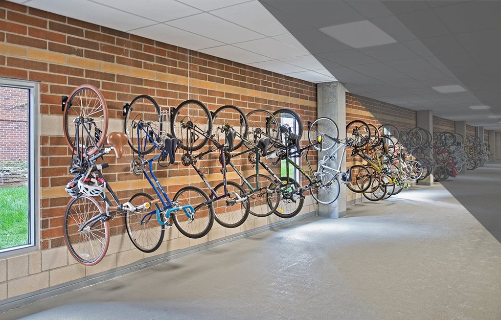 a row of bikes hanging on a brick wall