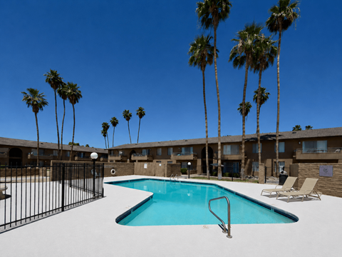A swimming pool surrounded by palm trees and chairs.