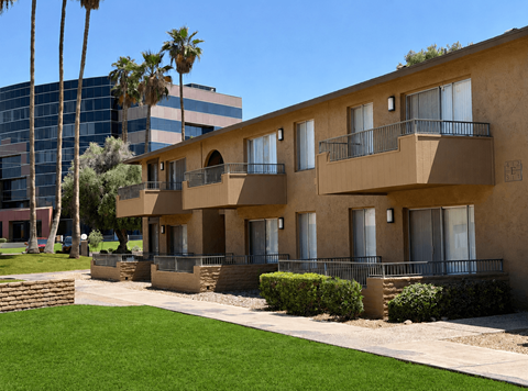A row of apartment buildings with balconies and a palm tree in the background.