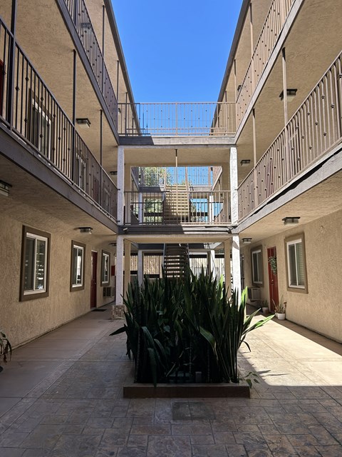 A courtyard with a plant in the middle and a building on both sides.