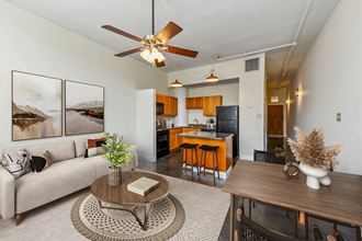 344 St. Joseph St. Studio-2 Beds Apartment for Rent