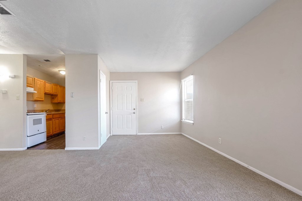 A spacious room with a white door and a window letting in natural light.