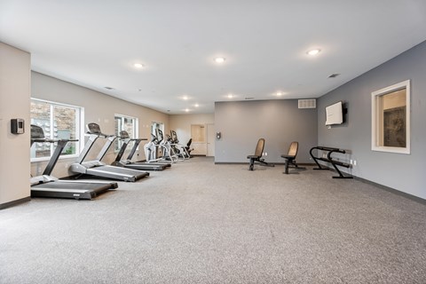 A spacious gym with treadmills and exercise machines.
