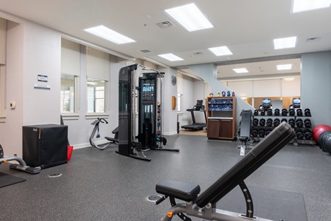 A gym with a variety of equipment including a treadmill, weights, and a bench press.