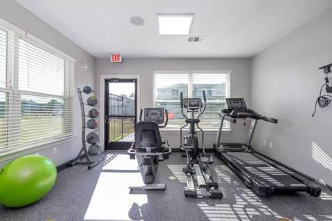 A well-equipped gym with treadmills, elliptical machines, and a green exercise ball.