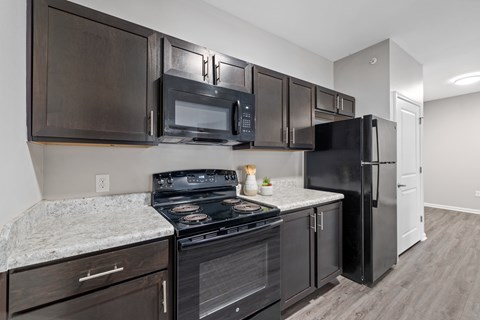A kitchen with black appliances and cabinets.