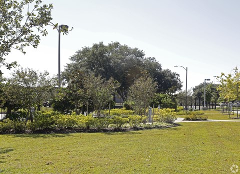A park with a grassy area, trees, and street lamps.