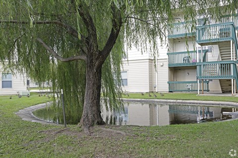 A tree with long hanging branches is in front of a building.