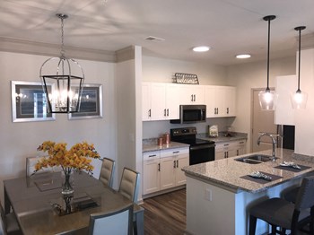 Kitchen and Living room - Photo Gallery 2
