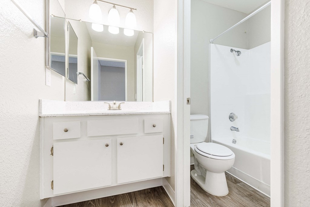 a bathroom with a toilet and a sink and a mirror