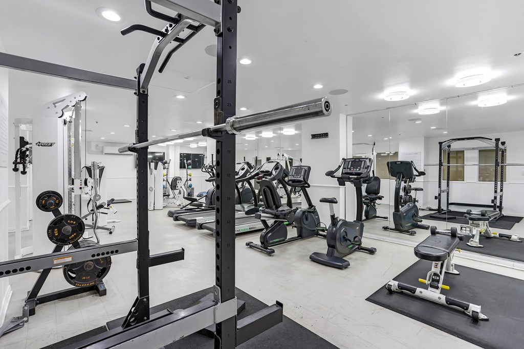 A well-equipped gym with various exercise machines and weights.